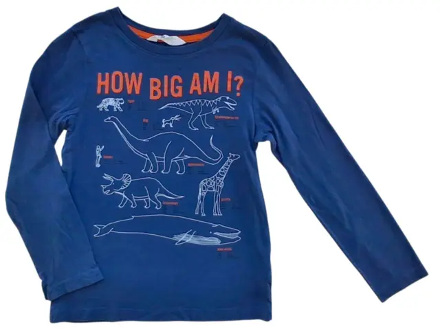 H&M blågrå langærmet T-shirt str. 122-128
